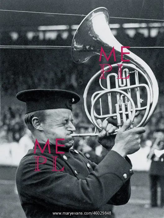: French horn player : French horn player