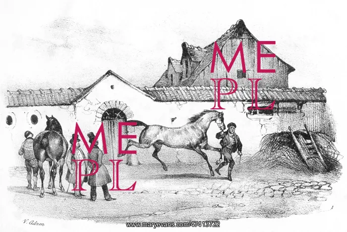 : FRENCH HORSE-TRADER : FRENCH HORSE-TRADER