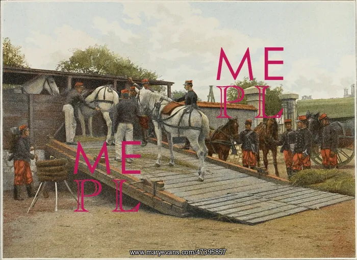 : FRENCH MOVE HORSES : FRENCH MOVE HORSES
