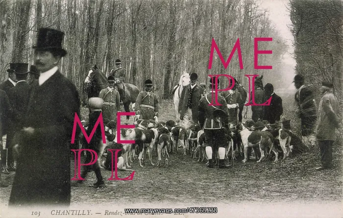 : FRENCH HUNT MEET : FRENCH HUNT MEET