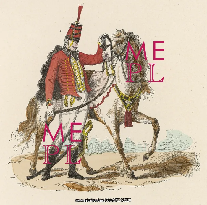 : FRENCH HUSSAR : FRENCH HUSSAR
