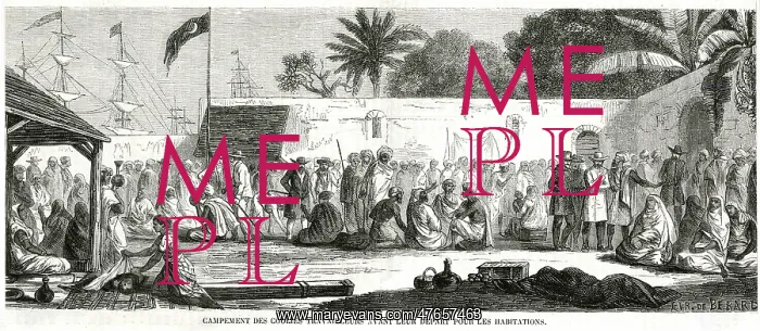 : French Import Non-Slave Labour to Guadeloupe : French Import Non-Slave Labour to Guadeloupe