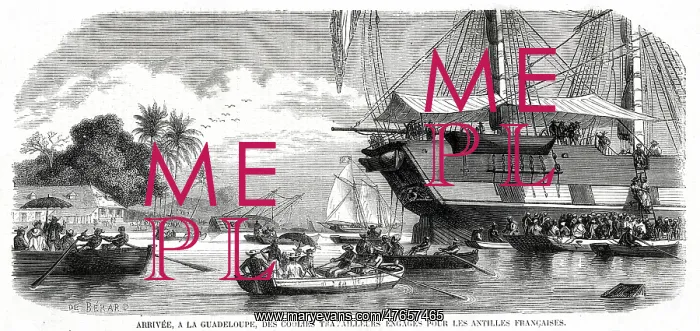 : French Import Non-Slave Labour to Guadeloupe : French Import Non-Slave Labour to Guadeloupe