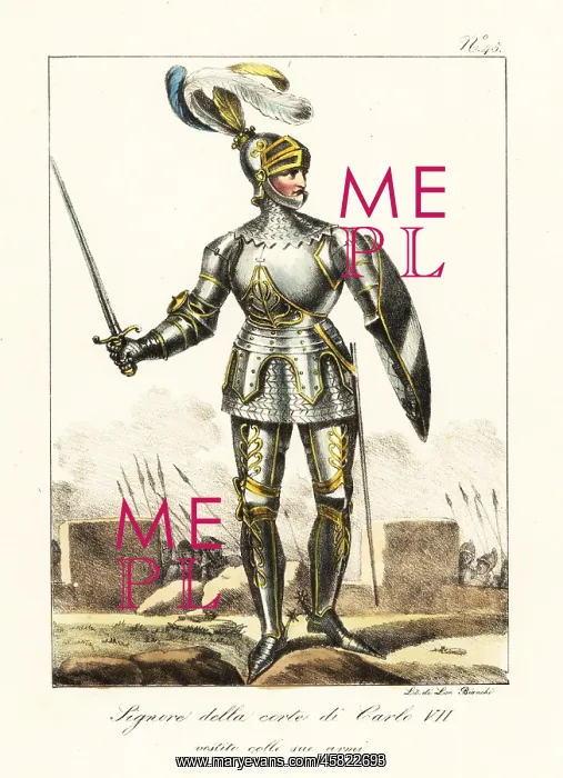 : French kinght in armour, 15th century : French kinght in armour, 15th century
