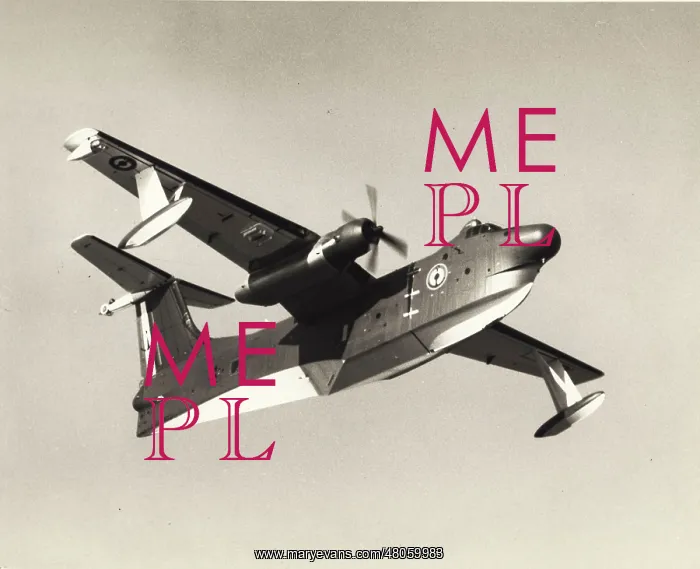 : French Martin P5M-2 Marlin : French Martin P5M-2 Marlin