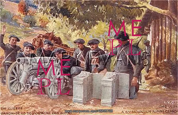  : FRENCH MOUNTAIN GUN 1914