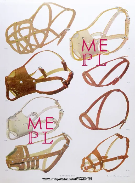 : FRENCH MUZZLES : FRENCH MUZZLES