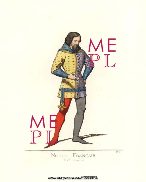 : French noble man, 14th century : French noble man, 14th century