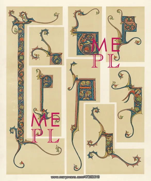 : FRENCH ORNAMENTAL LETTER : FRENCH ORNAMENTAL LETTER