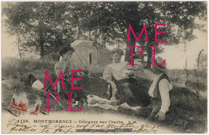 : FRENCH PICNIC CIRCA 1905 : FRENCH PICNIC CIRCA 1905