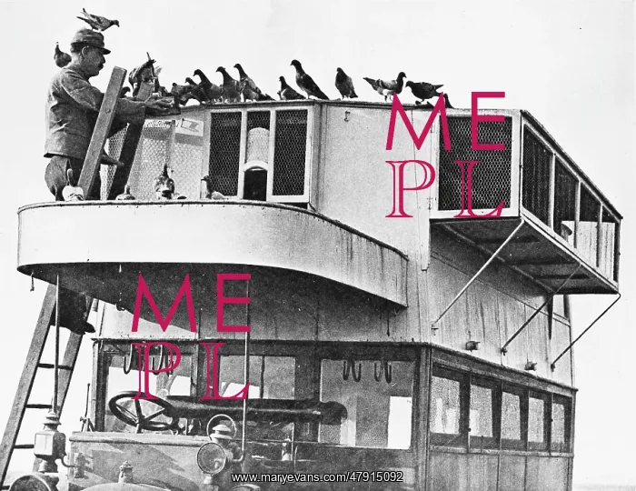  : French pigeon communications WWI