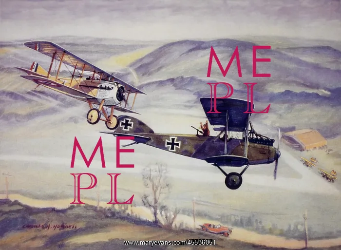 : French Pilot Captain Georges Guynemer : French Pilot Captain Georges Guynemer
