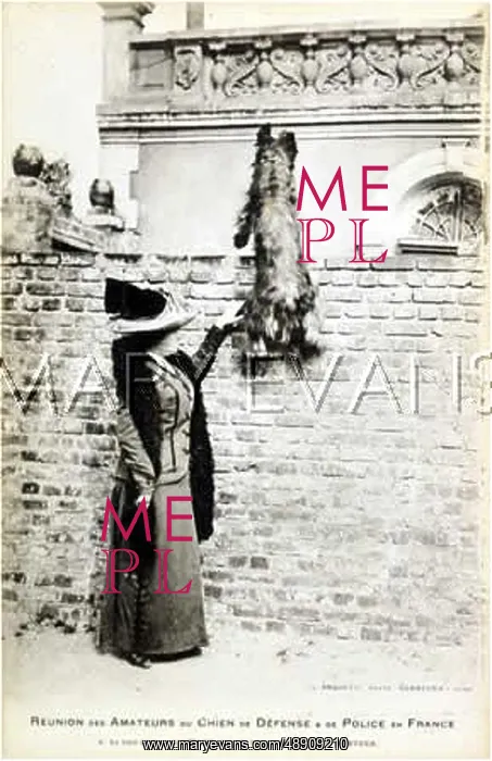 : FRENCH POLICE DOGS : FRENCH POLICE DOGS