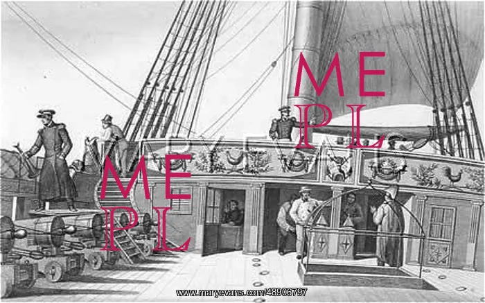 : FRENCH POOP DECK : FRENCH POOP DECK