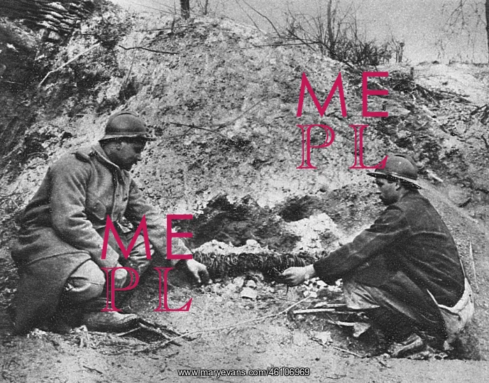 : French rat catches in the trenches, 1916, WW1 : French rat catches in the trenches, 1916, WW1