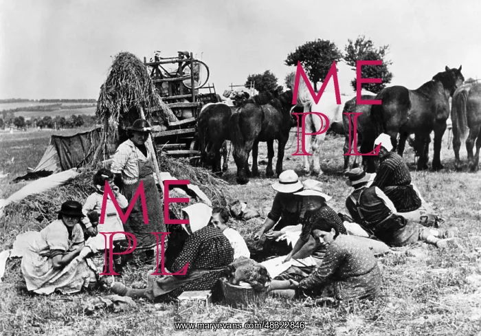 : French refugees in a field, 1940 : French refugees in a field, 1940