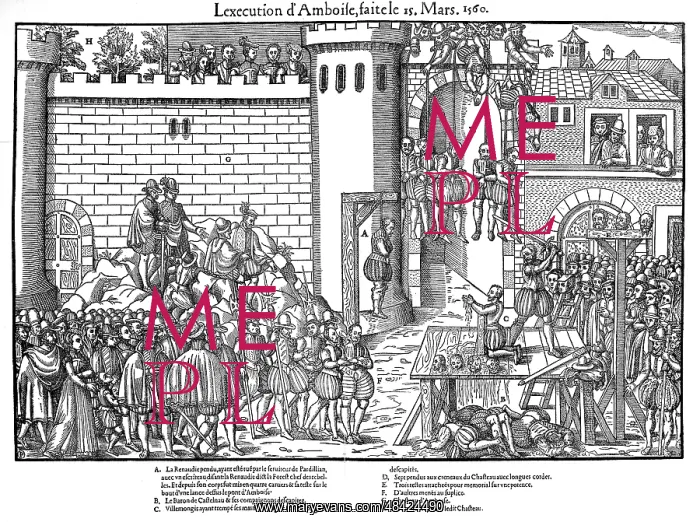 : French Religious Wars 1562-1598. Amboise Enterprise : French Religious Wars 1562-1598. Amboise Enterprise