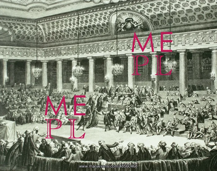 : French Revolution. National Constituent Assembly. 9 July 17 : French Revolution. National Constituent Assembly. 9 July 17