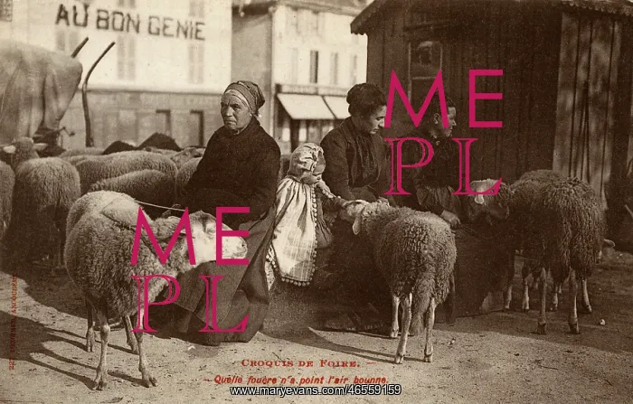 : French Sheperdesses and their Sheep : French Sheperdesses and their Sheep