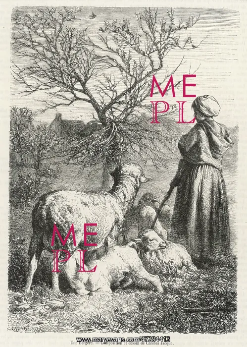  : FRENCH SHEPHERDESS