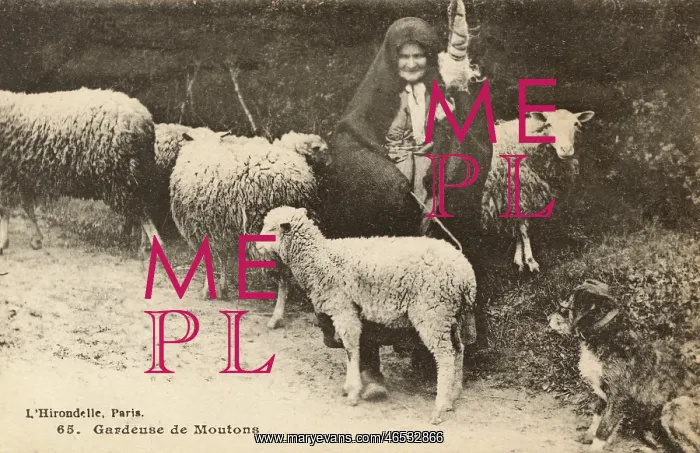 : French Shepherdess with flock and dog : French Shepherdess with flock and dog