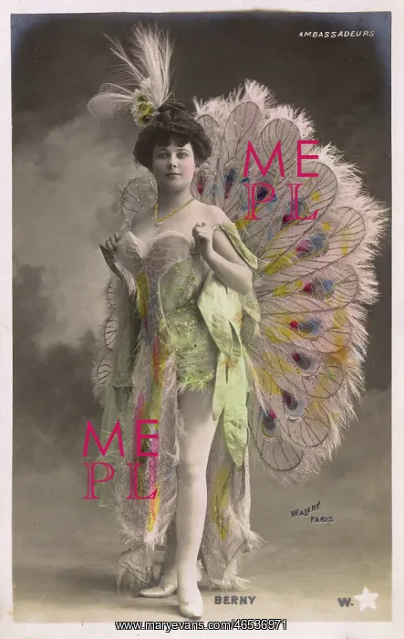 : French Showgirl wearing an array of amazing feathers : French Showgirl wearing an array of amazing feathers