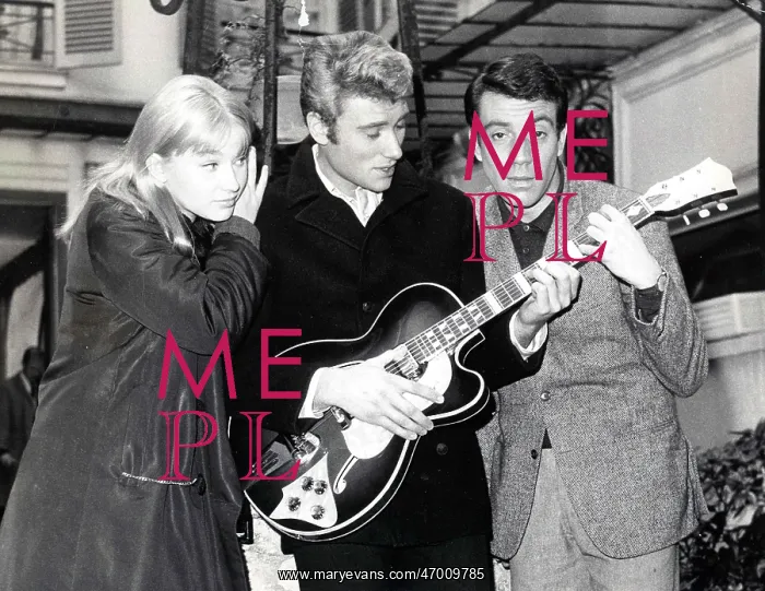 : French Singer Johnny Hallyday : French Singer Johnny Hallyday