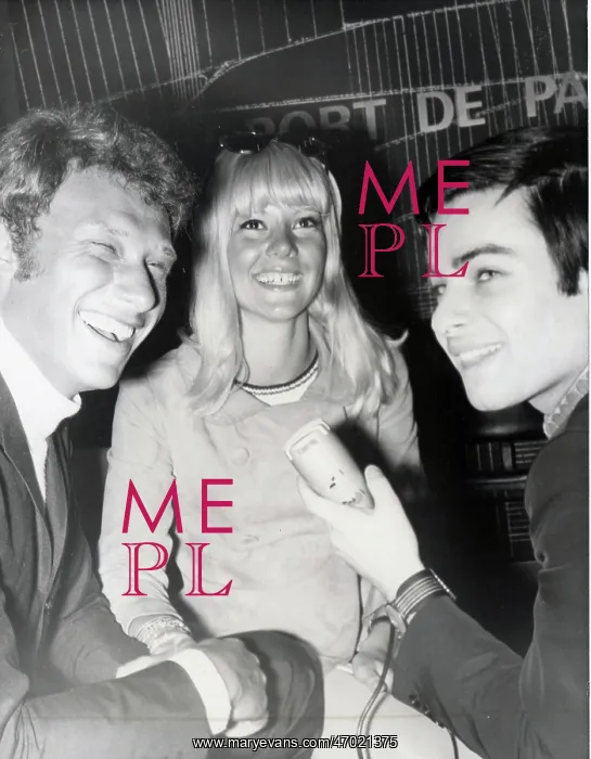 : French Singer Johnny Hallyday : French Singer Johnny Hallyday