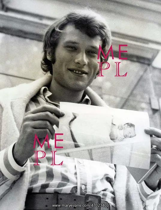 : French Singer Johnny Hallyday : French Singer Johnny Hallyday