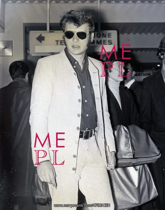 : French Singer Johnny Hallyday : French Singer Johnny Hallyday