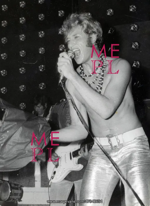: French Singer Johnny Hallyday : French Singer Johnny Hallyday