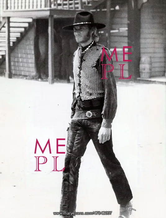: French Singer Johnny Hallyday : French Singer Johnny Hallyday