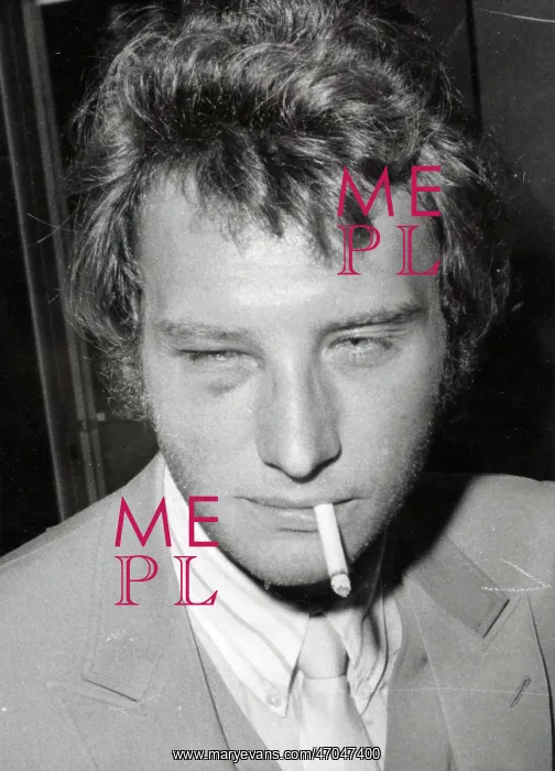 : French Singer Johnny Hallyday : French Singer Johnny Hallyday