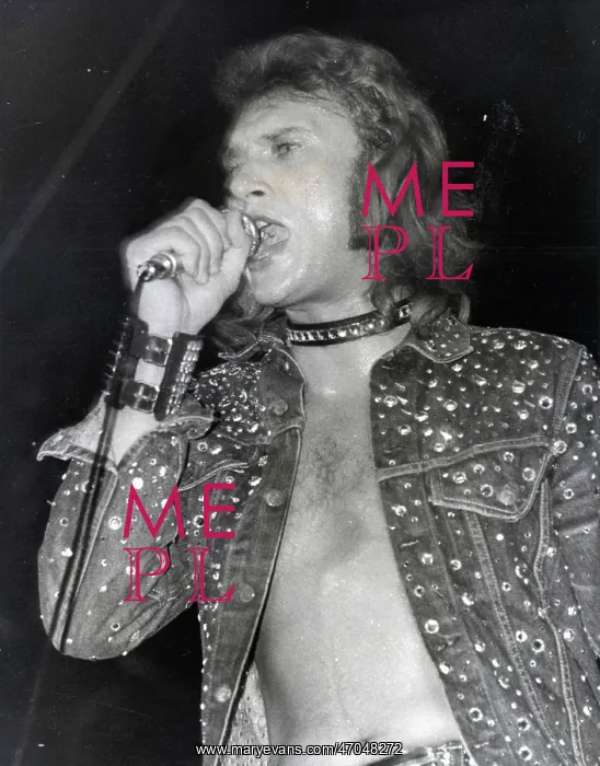 : French Singer Johnny Hallyday : French Singer Johnny Hallyday