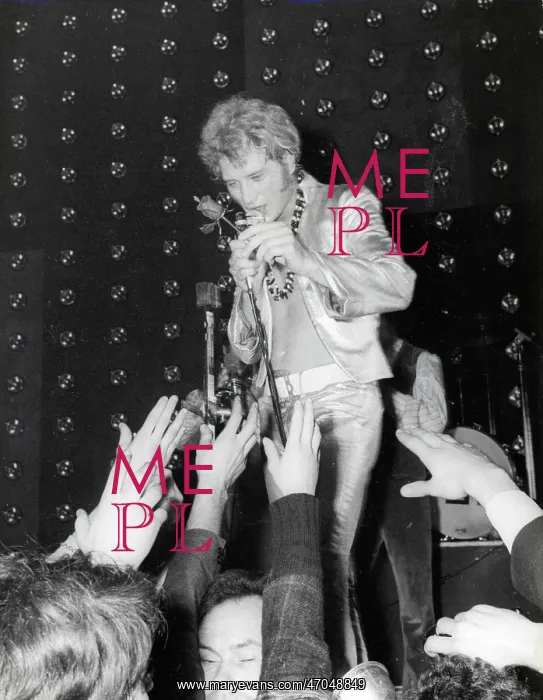 : French Singer Johnny Hallyday : French Singer Johnny Hallyday