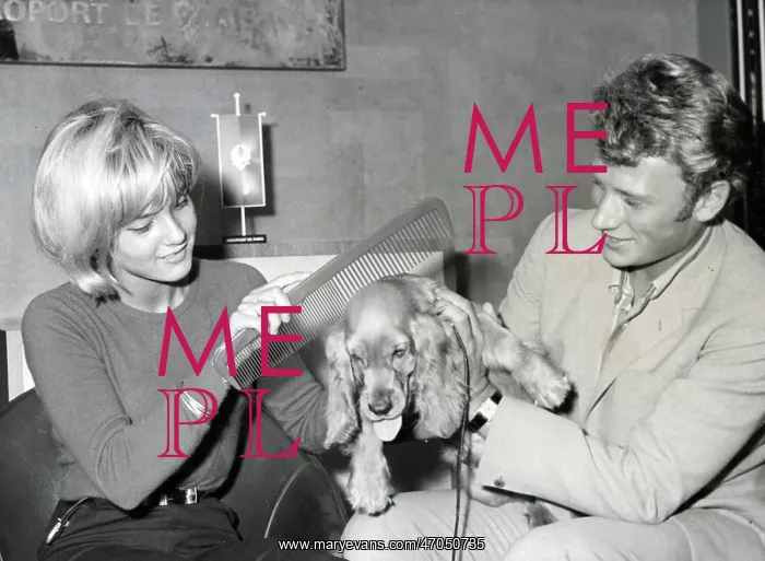 : French Singer Johnny Hallyday : French Singer Johnny Hallyday