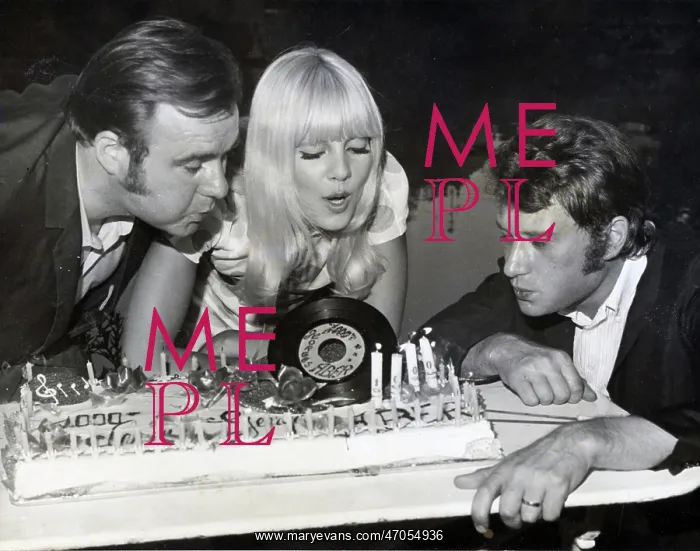 : French Singer Johnny Hallyday : French Singer Johnny Hallyday