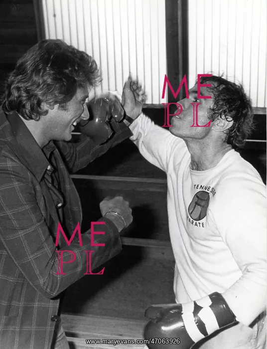 : French Singer Johnny Hallyday : French Singer Johnny Hallyday
