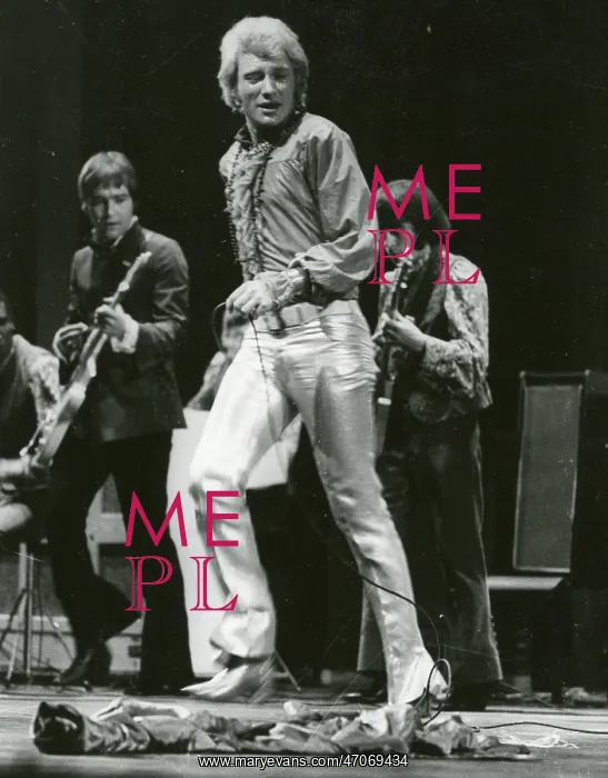 : French Singer Johnny Hallyday : French Singer Johnny Hallyday