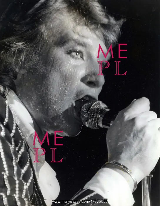: French Singer Johnny Hallyday : French Singer Johnny Hallyday