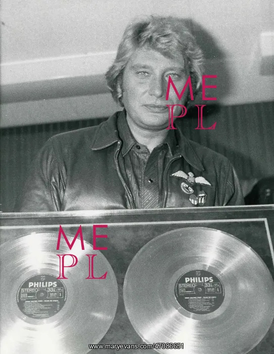 : French Singer Johnny Hallyday : French Singer Johnny Hallyday