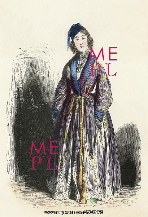 : FRENCH SOCIETY LADY : FRENCH SOCIETY LADY