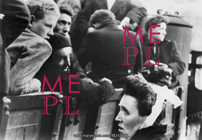 : French suspects are led away, 1944 : French suspects are led away, 1944