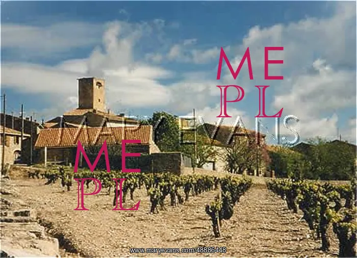  : FRENCH VINEYARD