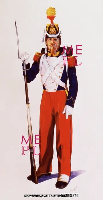  : French Voltigeur