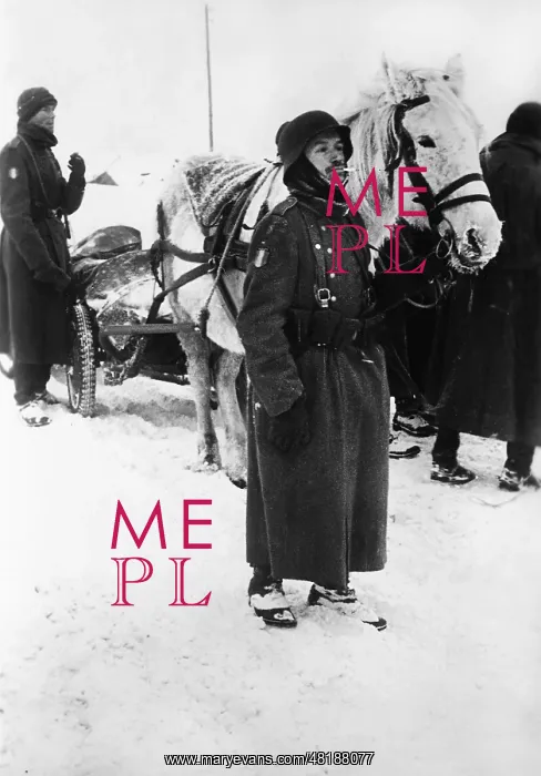 : French volunteers on the Eastern Front, 1941 : French volunteers on the Eastern Front, 1941