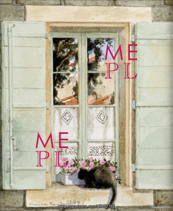 : French Window ' with shutters, flowers & cat : French Window ' with shutters, flowers & cat