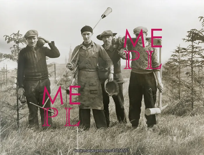 : French workers with unexploded shells dug up on : French workers with unexploded shells dug up on