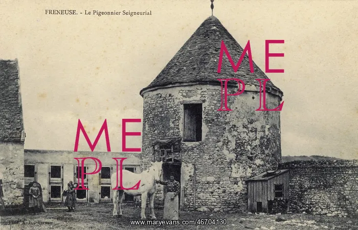: Freneuse, France - The Pigeon : Freneuse, France - The Pigeon