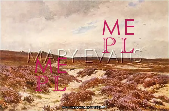  : FRENSHAM COMMON 1906